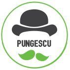Pungescu's icon