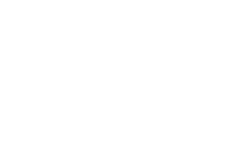Night Wolves Studio's logos