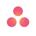 Asana for Desktop icon