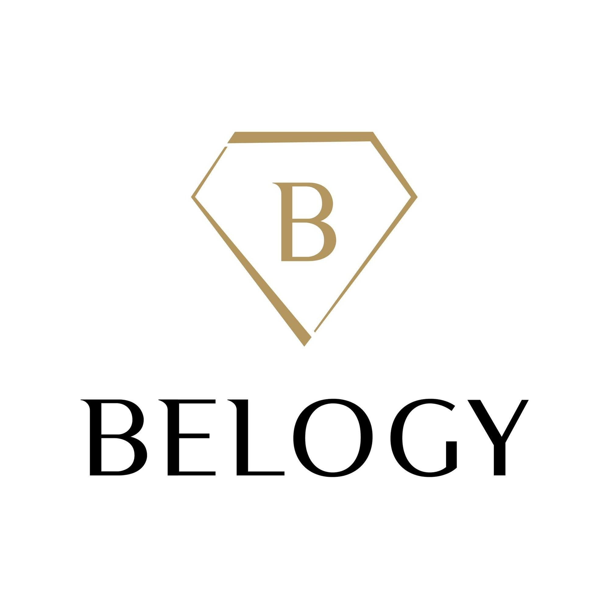 Belogy's icon
