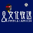 文化放送 FM91.6 & AM1134's icon
