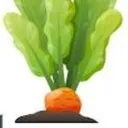by My Vegetable Garden's icon