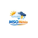 ms-only.net's icon