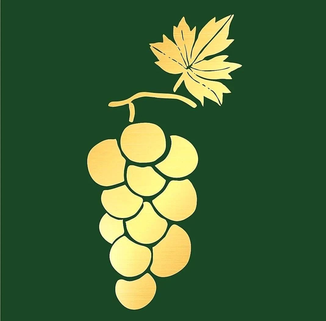Ozana ternos's icon