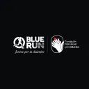 bluerunhn.com's icon
