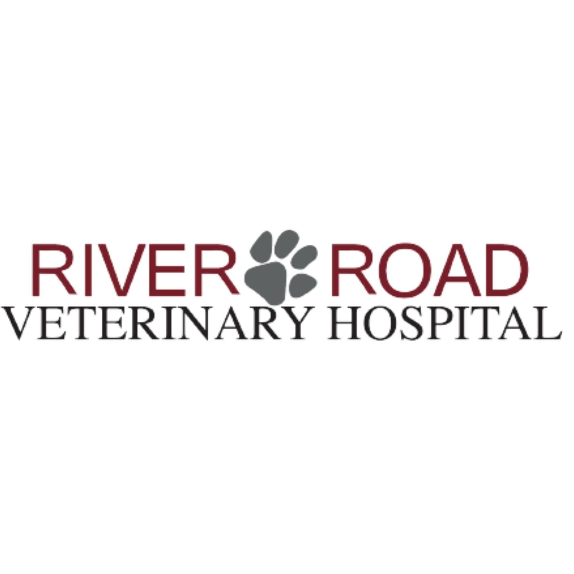 River Road Veterinary Hospital's icon