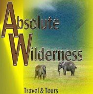 Absolute Wilderness's icon