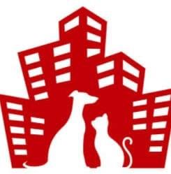 Bronx Veterinary Center | The Bronx NY's icon
