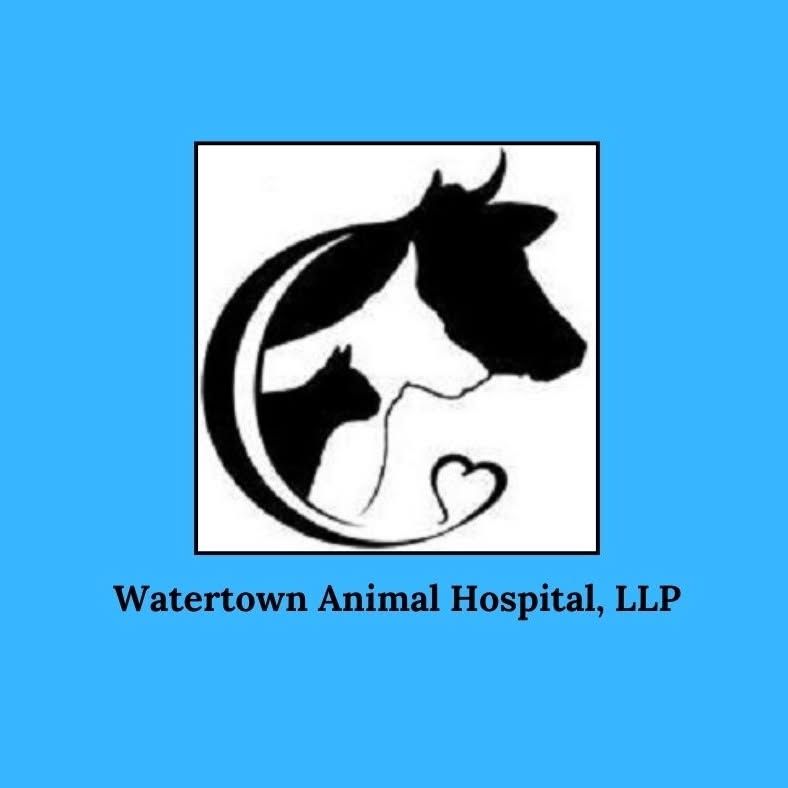 Watertown Animal Hospital's icon