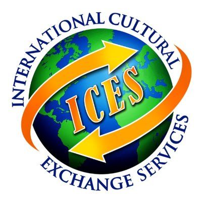 ICES USA's icon