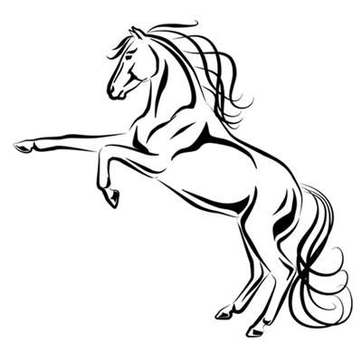 rodeoranchride.com's icon