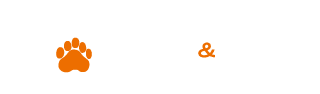 BULL&BEAR Academy's logos