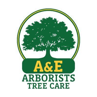 A&E Arborists Tree Care's icon