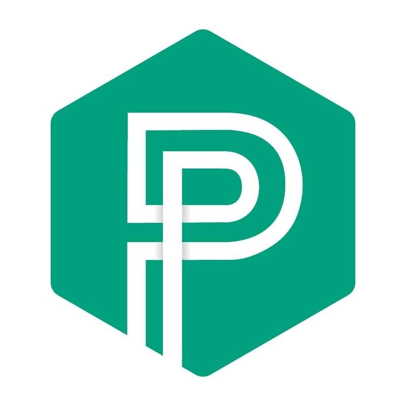 PyP Informática's icon