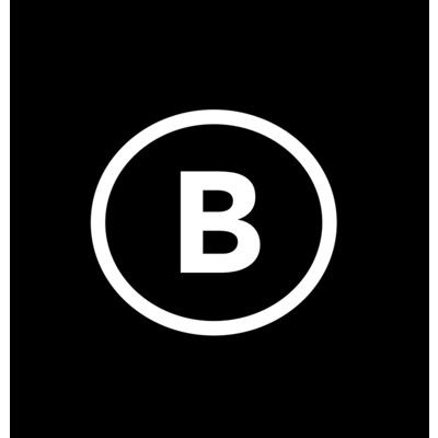 Brandsinger's icon
