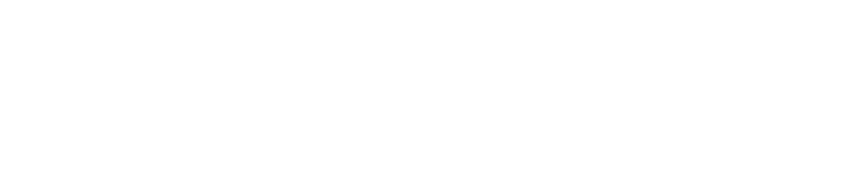 SDJ Strategies LLC logo