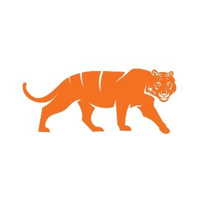 Firetiger Technologies