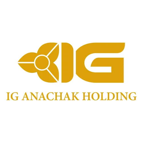 IG International Group logo