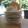 Logo IJssalon onwIJS