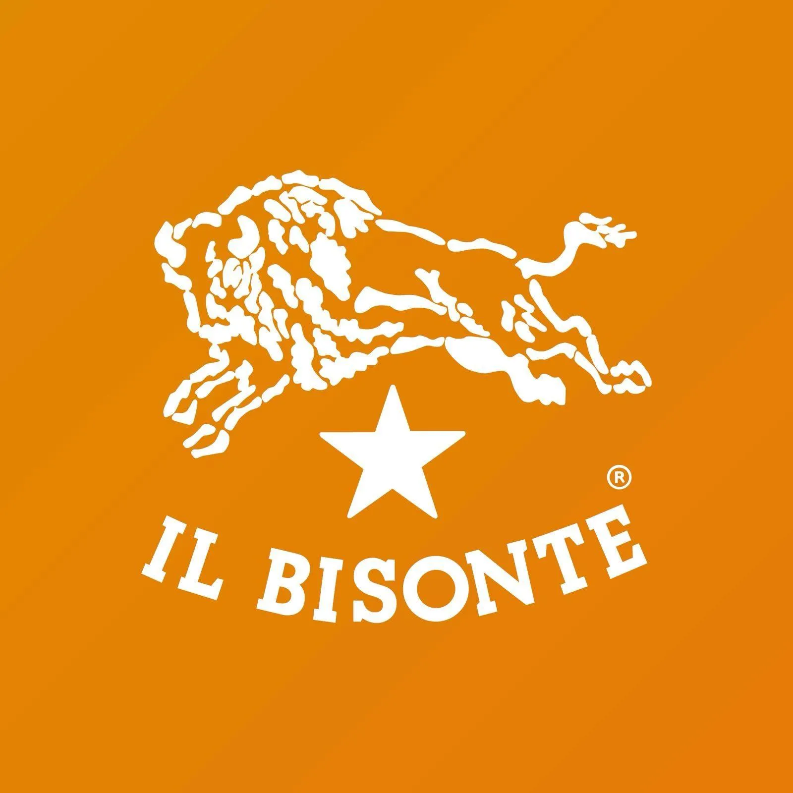 Ilbisonte