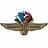 Indianapolis Motor Speedway logo