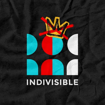 Indivisible Project