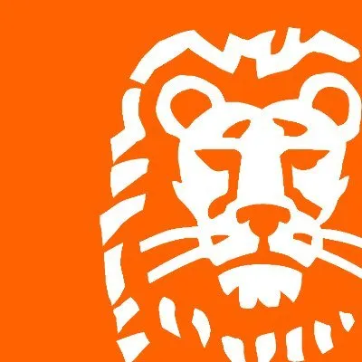 ING Bank A.Ş. Logo