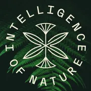 ION* Logo
