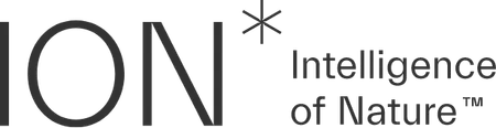 ION* logo