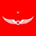 Intelligentsia logo