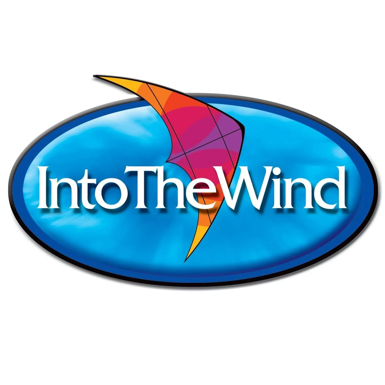 Into The Wind Kites