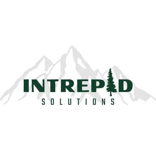 Intrepid Solutions logo