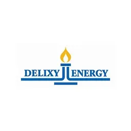 Delixy Holdings Limited Ordinary Shares logo
