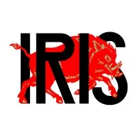 Iris Worldwide Logo