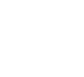 Irish Pure DE light logo