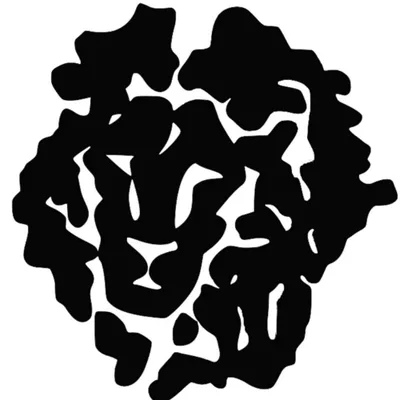 Ironlionsoap