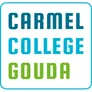 Logo Internationale Schakelklas Gouda