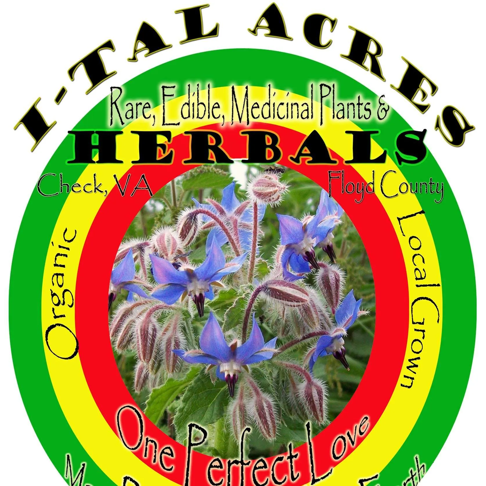 Italacres