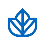 Ivy logo/icon