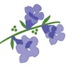 Jacaranda Living logo