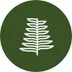 Jackfir logo