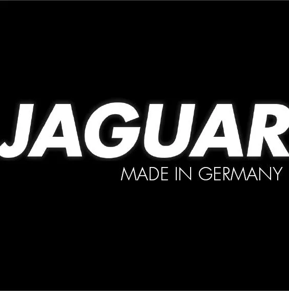 Jaguar logo