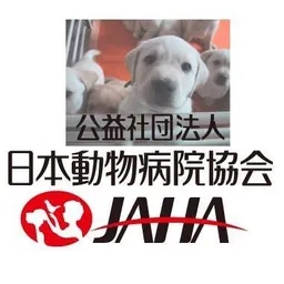 公益社団法人日本動物病院協会 JAHA | Chuo Logo & Brand Assets (SVG, PNG and vector ...
