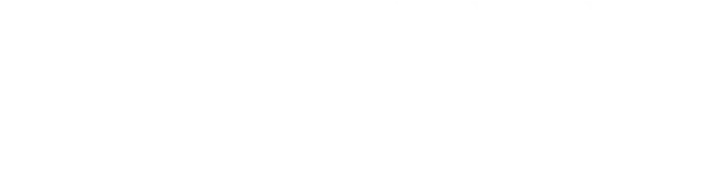 Janus Assurance Re logo