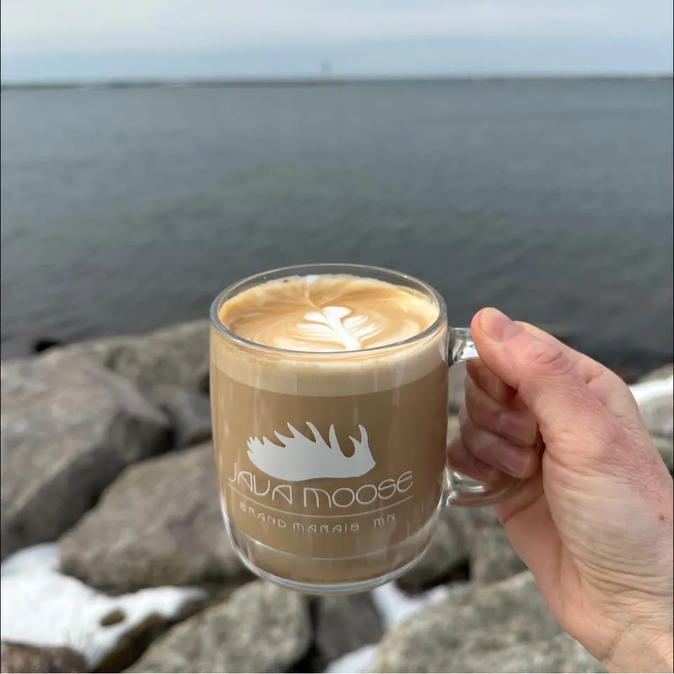 Javamoosegrandmarais