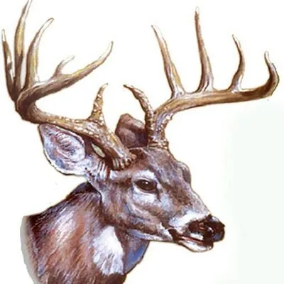 Jay's Sporting Goods