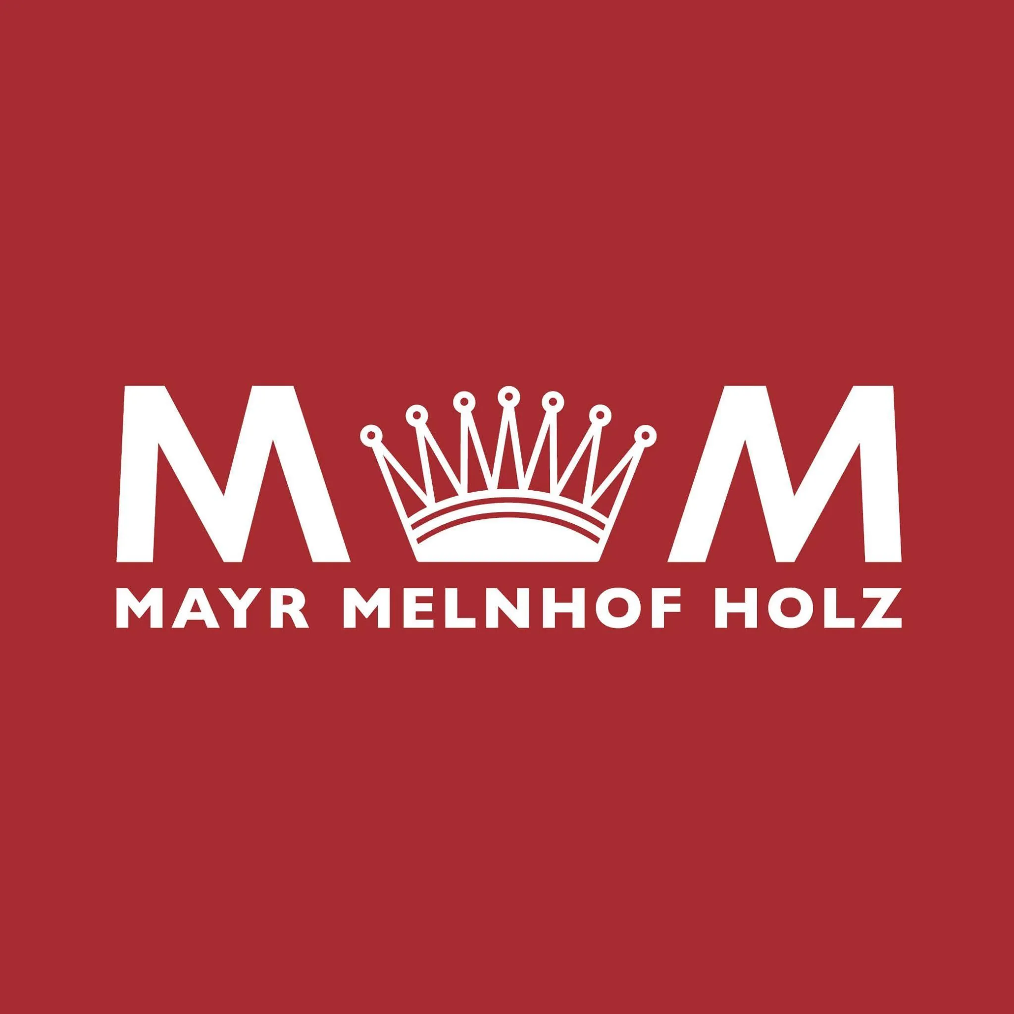 Mayr-Melnhof Hüttemann Olsberg GmbH