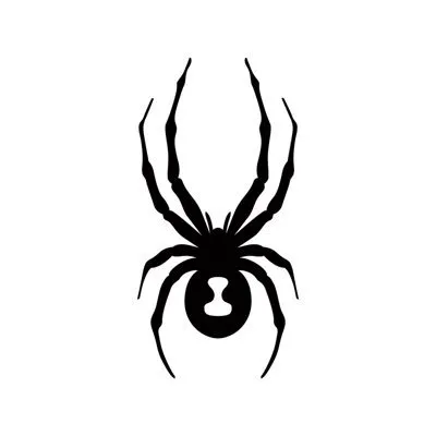 Spyder Japan スパイダージャパン logo