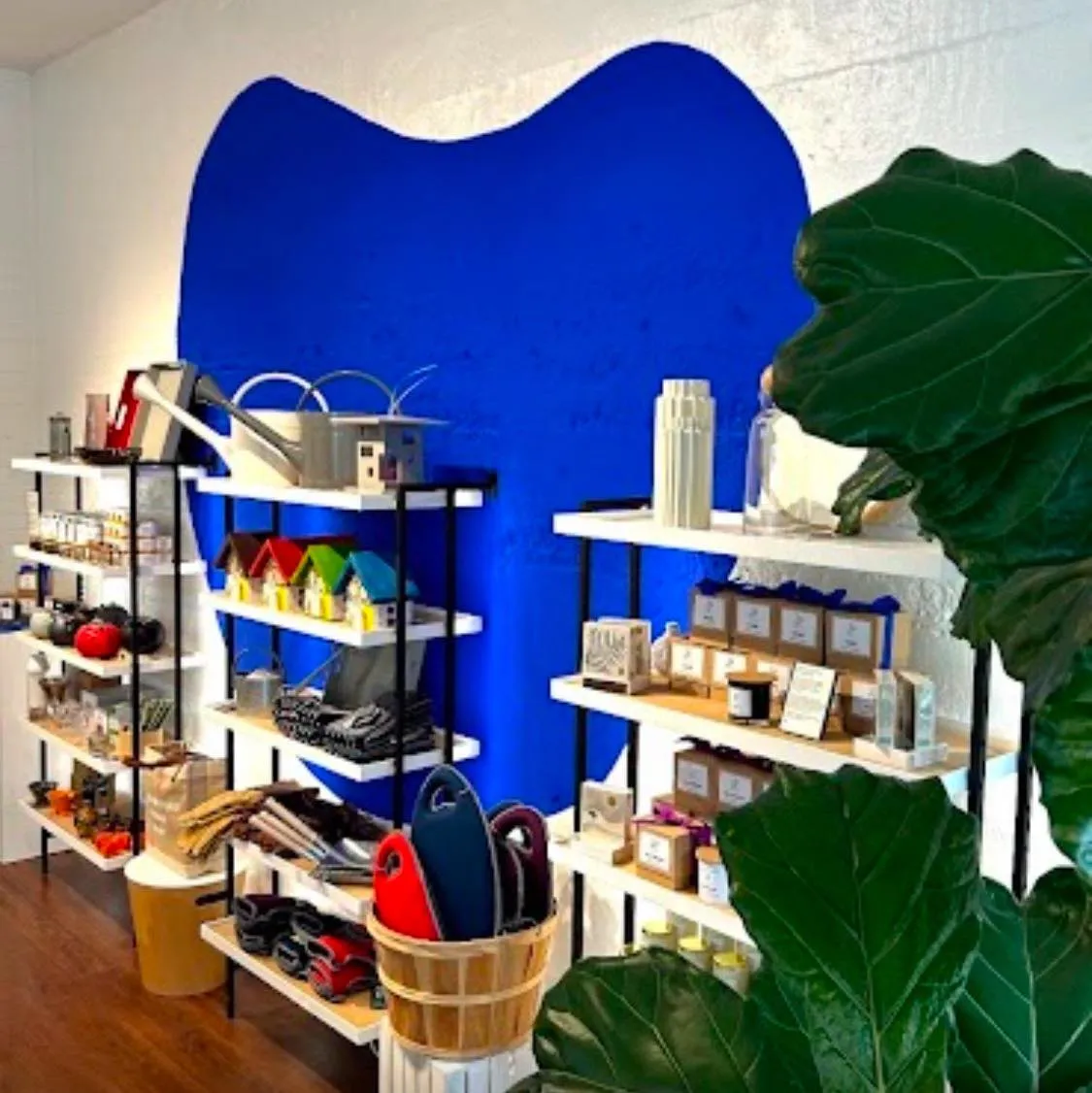 Jpgeneralshop