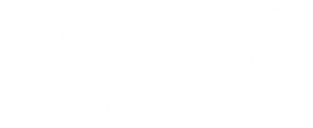 Junesjourney light logo